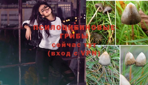 ГАЛЛЮЦИНОГЕННЫЕ ГРИБЫ Беломорск