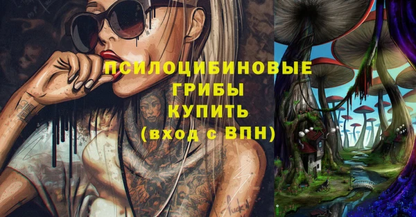 a pvp Краснослободск