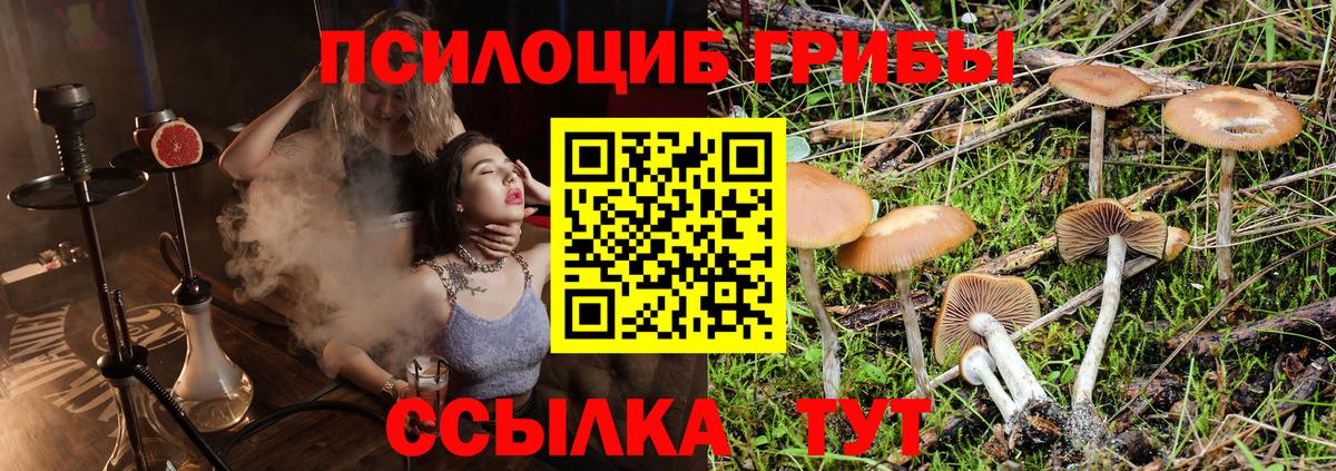 закладка  Вход с VPN  Галлюциногенные грибы прущие грибы  Воркута  Галлюциногенные грибы Psilocybine cubensis 